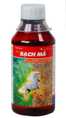 BAMBOO hiệu Bạch Mã