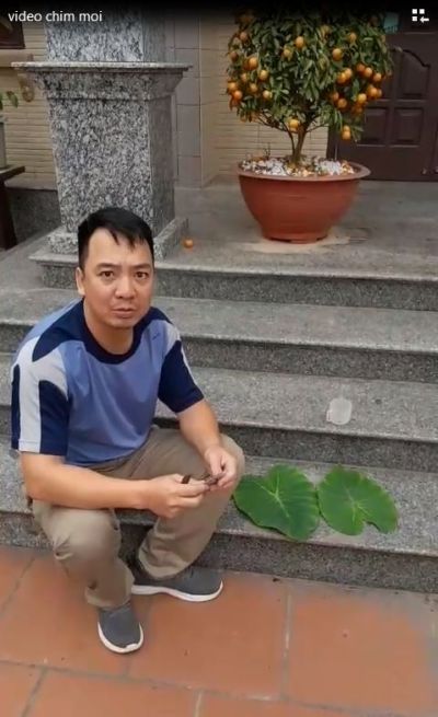 VIDEO CHẤM NGƯ ÔNG - MR QUANG, HẢI DƯƠNG